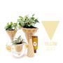 Vases - KIT 3D CLAY — SPECIAL EDITION - COMMON PLACE