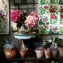 Photos d'art - Photo d'art - Les Bouquets n°7 - JOLI JOUR PARIS