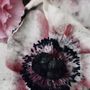 Art photos - Fine art photography - Les Bouquets n°8 - JOLI JOUR PARIS