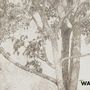 Wallpaper - wallpaper - VENUS - WALLYART