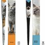 Pens and pencils - 48 Paper pens - CAT COLLECTION - PLUME DE PAPIER