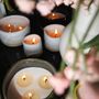 Candles - Essence d'Azur refillable scented candle 360g - MAISON TASSAN