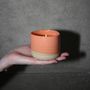 Candles - Refillable scented candle Fleurs du Sud 180g - MAISON TASSAN