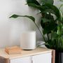 Lampes de table - LAMPE DE TABLE - MIZAR SHORT - MENDELEK STUDIO