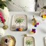 Trays - Manicaria enamelled tray - PARADISIO IMAGINARIUM