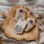 Home fragrances - Aroma wax with Lavender scent - TL CANDLES