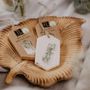 Parfums d'intérieur - Cire aromatique au parfum de citronnelle - TL CANDLES
