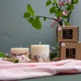 Candles - Candle with Rose Scent - TL CANDLES