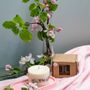 Candles - Candle with Rose Scent - TL CANDLES