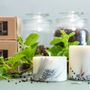 Candles - Candle with Juniper Scent - TL CANDLES