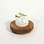 Décorations florales - Bougie votive - Verveine (80G) - MAISON SÉJOUR