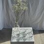 Installation accessories - 5 small vintage glass stemmed bowls - OFFICE OBJETS