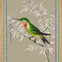 Affiches - Illustration Colibri Améthyste - PARADISIO IMAGINARIUM