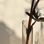 Vases - CATHARSIS, Sculptural Statement Small Vase, Dusty Coral - COKI