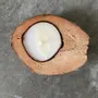 Bougies - Bougie noix de coco - BAAN