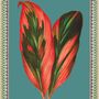Poster - Dragonier illustration - PARADISIO IMAGINARIUM