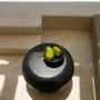 Tables basses - La table basse Tutup - Noire - BAZAR BIZAR LIVING
