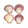 Scents - Scallop shell incense holder Lion's Paw 12-16cm - ARABESK