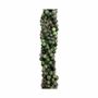 Jewelry - Rubis Zoisite A 10mm pearls on string - ARABESK