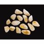 Jewelry - Heated Citrine AA tumbled stones 250g - ARABESK