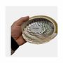 Senteurs - Coquille d'ormeau d'Australie 13-15cm - ARABESK