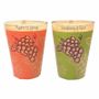 Scents - Box of 2 Maroma Candles in Madeira Glass and Apricots - Chardonnay and Figs 70g - ARABESK
