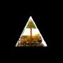 Jewelry - Orgonite Pyramid Tiger Eye & Peridot Tree of Life - ARABESK
