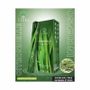 Scents - Terra citronella hexa incense without charcoal 30grs - ARABESK