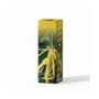 Senteurs - Encens Terra Ylang-Ylang sans charbon 12grs - ARABESK
