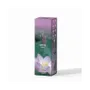 Scents - Terra Lotus incense without charcoal 12grs - ARABESK