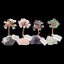 Jewelry - Tree of Life Display 48 pcs - ARABESK
