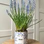 Vases - Pot amour - AND NOOK