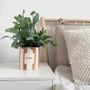 Vases - Pot f*ck - AND NOOK