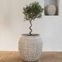 Baskets - CLEIA light gray cement planter - Large model - dia 51.5x51.5x51.5 - BLANC D'IVOIRE