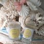 Home fragrances - Scented decor Shell small model - Soleil Pastel - MATHILDE M.