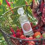 Scent diffusers - Home fragrance Les Intemporelles 100 ml - Fruits of the Woods - MATHILDE M.