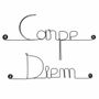 Other wall decoration - Wire wall decoration " Carpe Diem ” - to pin - BIJOUX DE MUR