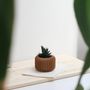 Floral decoration - INDOOR PLANTER - VORENA SUSTAINABLE DESIGN - MENDELEK STUDIO