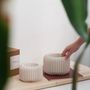 Floral decoration - INDOOR PLANTER - VORENA SUSTAINABLE DESIGN - MENDELEK STUDIO