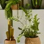 Objets de décoration - OBJETS EN HERBE DE MER - CALMA HOUSE