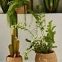 Decorative objects - SEA GRASS OBJECTS - CALMA HOUSE