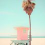 Affiches - Affiches P. Hugonnard - BLUE SHAKER
