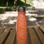 Gifts - Isothermal bottles created and printed in France - HIRONDELLES & CIE BY MAISON ROYAL GARDEN