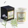 Candles - Eugénie's Trails Candle - BÔRIVAGE