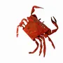 Outdoor decorative accessories - Recycled Crab Can Sculpture 13cm - TERRE SAUVAGE