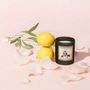Objets de décoration - BOUGIE PARFUMEE NATURELLE 100% VÉGÉTALE - NOCES DE FIGARO - UN SOIR A L'OPERA