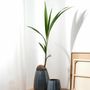 Vases - CLIFF vases - ASA SELECTION
