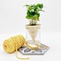 Vases - Clay pot -NOMADE YELLOW- design - 3D auto-irrigating - COMMON PLACE YOUR URBAN JUNGLE