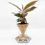 Vases - Clay pot -NOMADE YELLOW- design - 3D auto-irrigating - COMMON PLACE YOUR URBAN JUNGLE