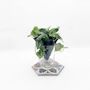 Vases - Clay pot -NOMADE BLUE PETROL- design - 3D auto-irrigating - COMMON PLACE YOUR URBAN JUNGLE